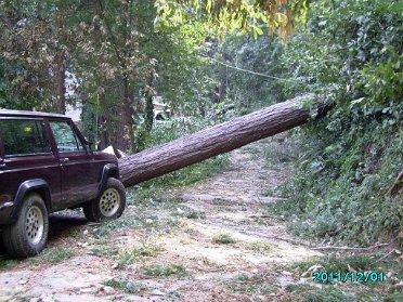 Storm-Damage-2011-12-03